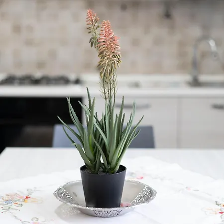 Διαμέρισμα Casa Surachi E Mesu *